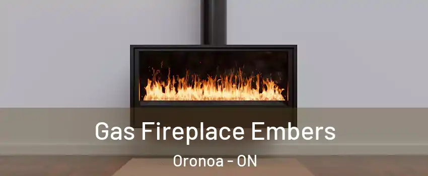  Gas Fireplace Embers Oronoa - ON