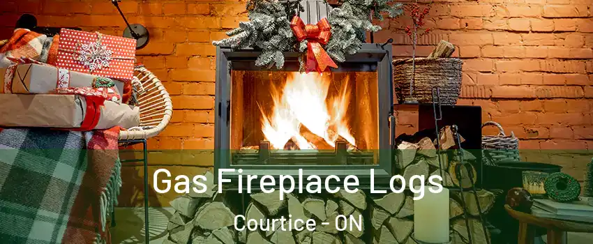  Gas Fireplace Logs Courtice - ON