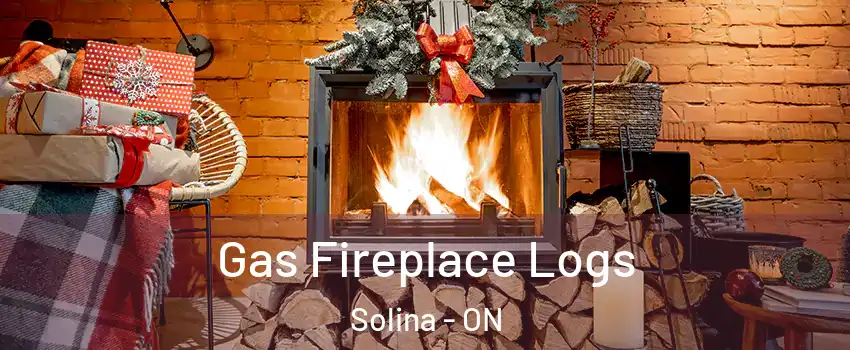  Gas Fireplace Logs Solina - ON