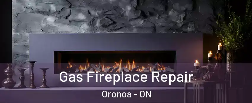  Gas Fireplace Repair Oronoa - ON