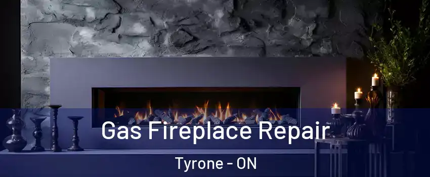  Gas Fireplace Repair Tyrone - ON