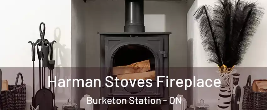  Harman Stoves Fireplace Burketon Station - ON