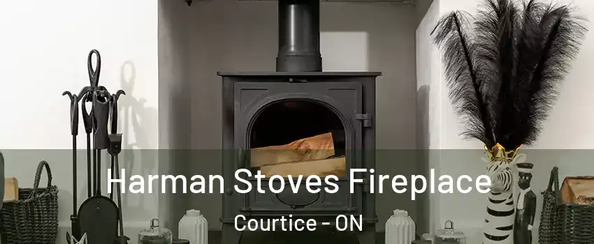  Harman Stoves Fireplace Courtice - ON