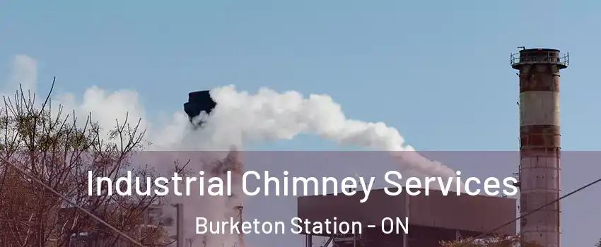  Industrial Chimney Services Burketon Station - ON