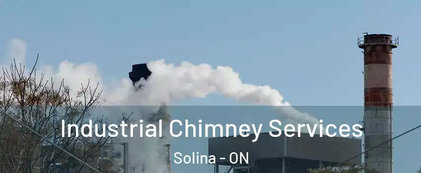  Industrial Chimney Services Solina - ON