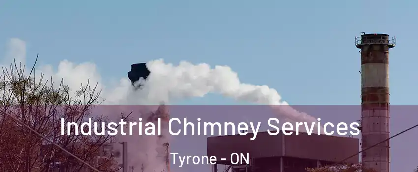  Industrial Chimney Services Tyrone - ON