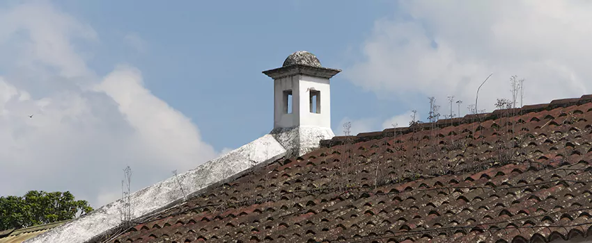 Wind-Resistant Chimney Caps Installation and Repair Services in Newcastle, Ontario