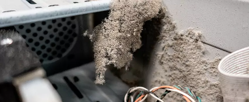 Clogged Dryer Vent Lint Cleaning in Newcastle, Ontario