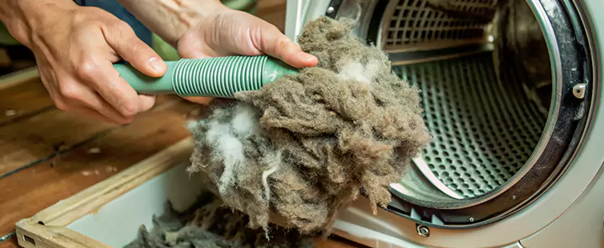 Best Dryer Lint Removal Company in Newtonville, Ontario