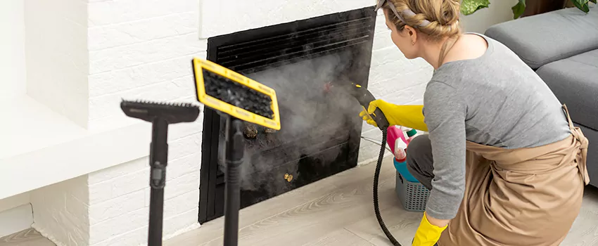 Fireplace Doors Cleaning in Newcastle, Ontario