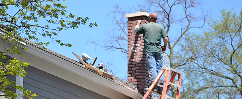 Chimney And Flue Brush Cleaning in Newtonville, Ontario