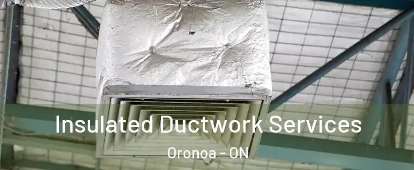  Insulated Ductwork Services Oronoa - ON