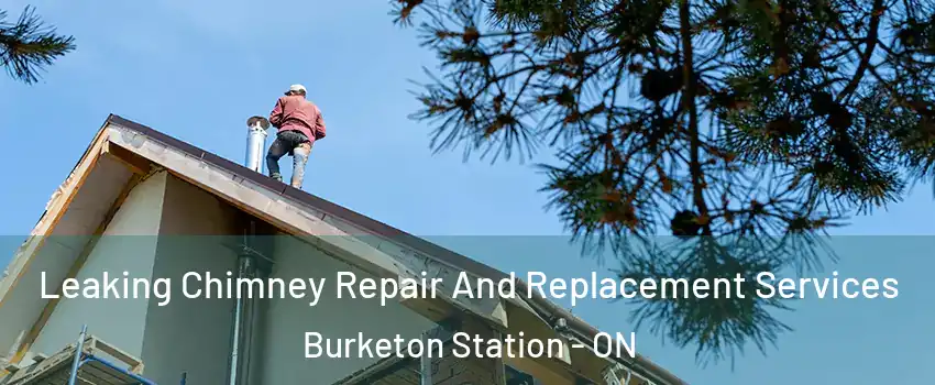  Leaking Chimney Repair And Replacement Services Burketon Station - ON