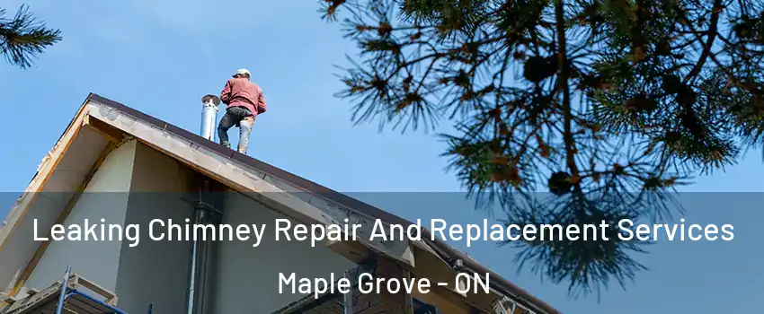  Leaking Chimney Repair And Replacement Services Maple Grove - ON