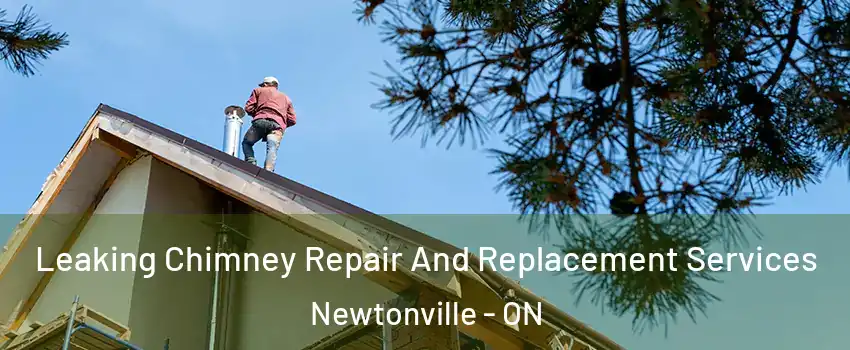 Leaking Chimney Repair And Replacement Services Newtonville - ON