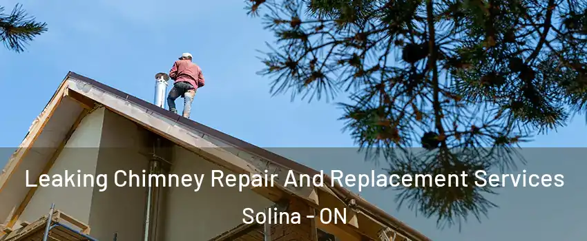  Leaking Chimney Repair And Replacement Services Solina - ON