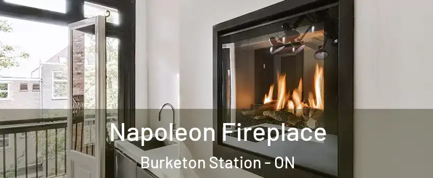  Napoleon Fireplace Burketon Station - ON