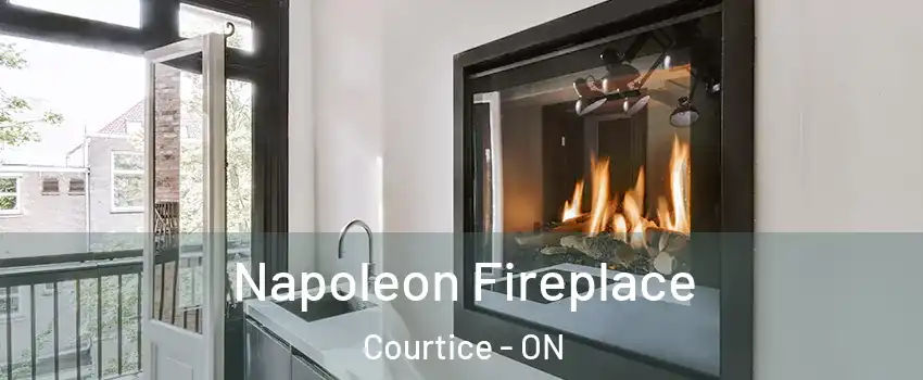  Napoleon Fireplace Courtice - ON