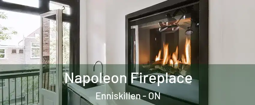  Napoleon Fireplace Enniskillen - ON