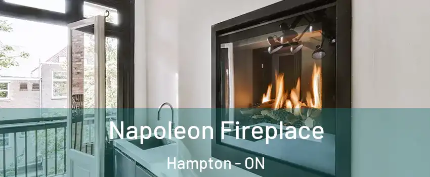  Napoleon Fireplace Hampton - ON