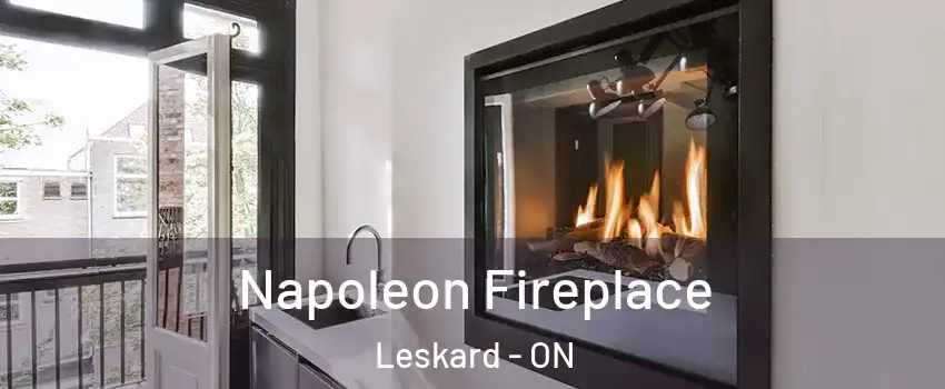  Napoleon Fireplace Leskard - ON