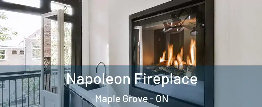  Napoleon Fireplace Maple Grove - ON