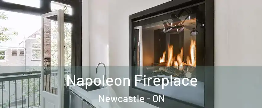  Napoleon Fireplace Newcastle - ON