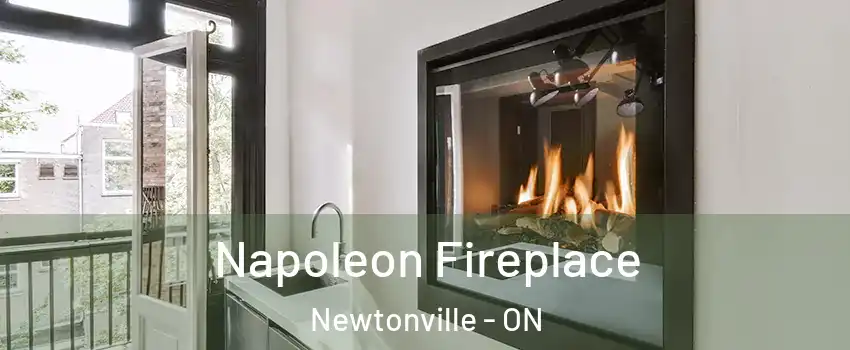  Napoleon Fireplace Newtonville - ON