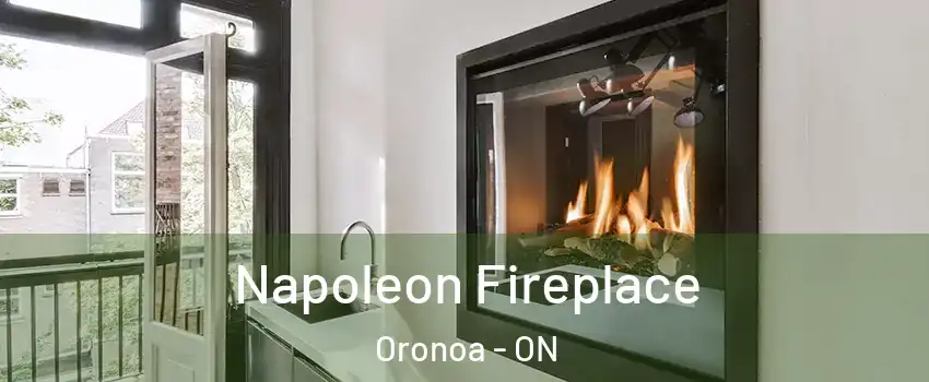  Napoleon Fireplace Oronoa - ON
