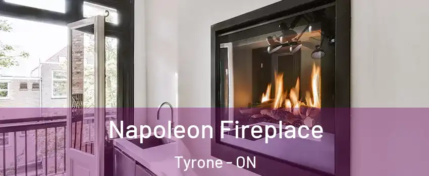  Napoleon Fireplace Tyrone - ON