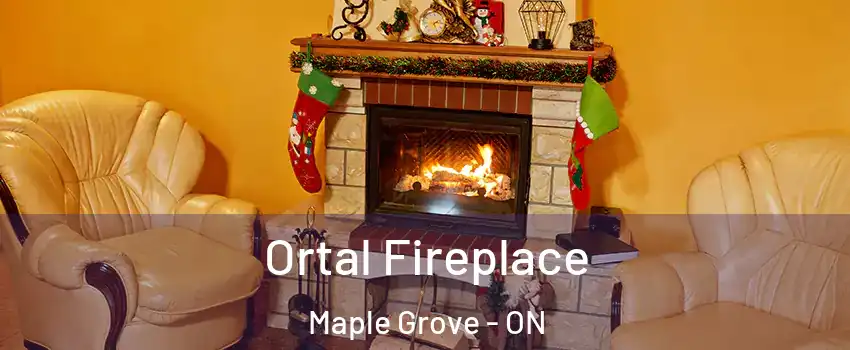 Ortal Fireplace Maple Grove - ON