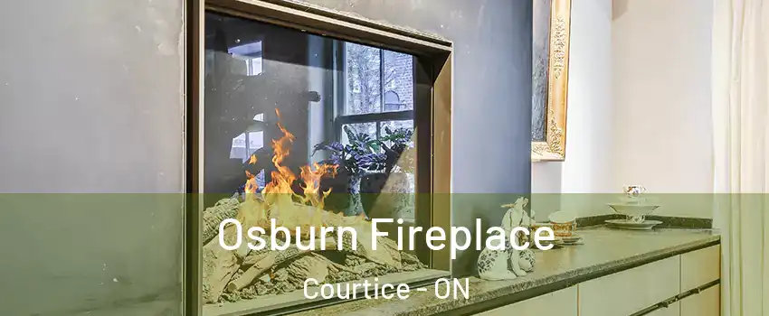  Osburn Fireplace Courtice - ON