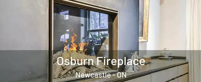  Osburn Fireplace Newcastle - ON