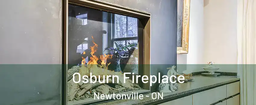  Osburn Fireplace Newtonville - ON