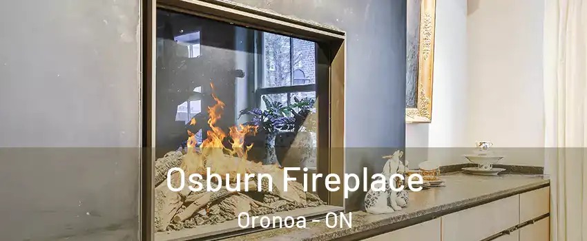  Osburn Fireplace Oronoa - ON