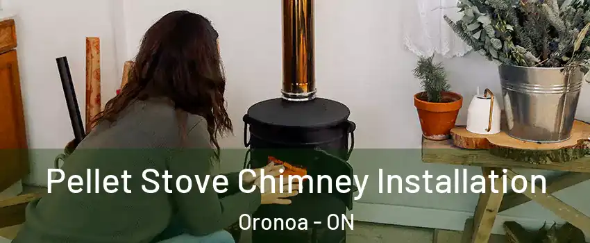  Pellet Stove Chimney Installation Oronoa - ON