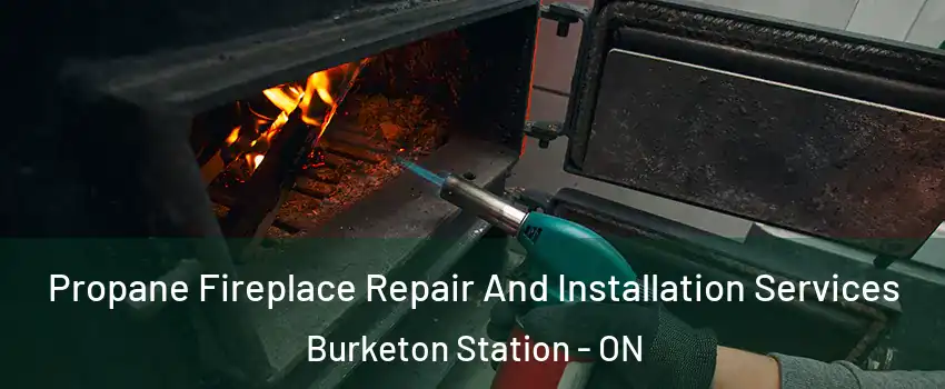 Propane Fireplace Repair And Installation Services Burketon Station - ON