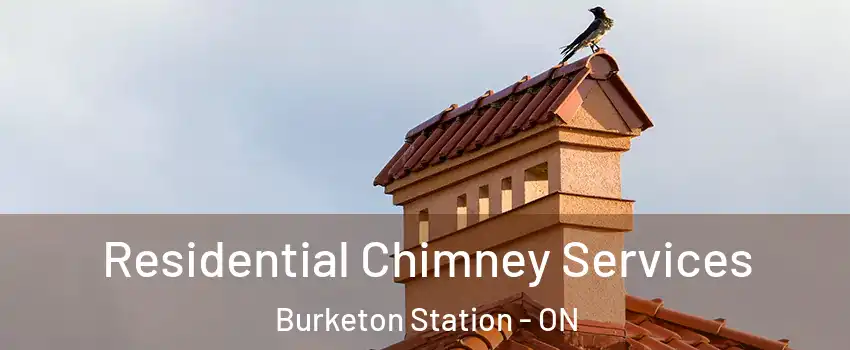  Residential Chimney Services Burketon Station - ON