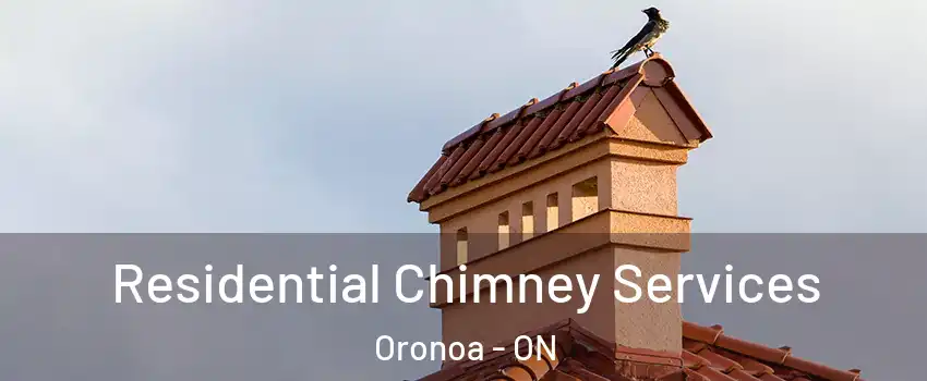  Residential Chimney Services Oronoa - ON