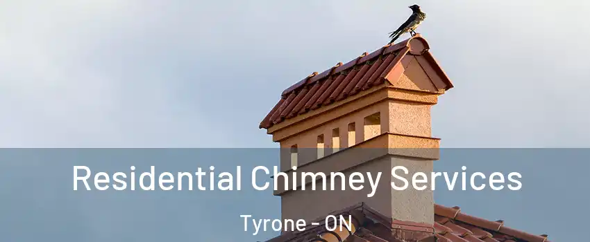  Residential Chimney Services Tyrone - ON