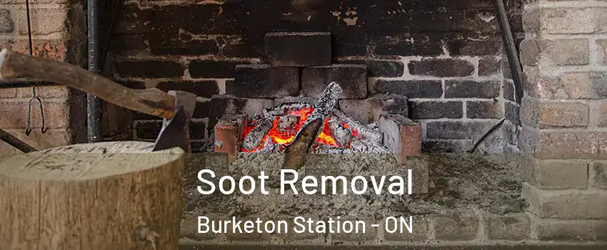  Soot Removal Burketon Station - ON