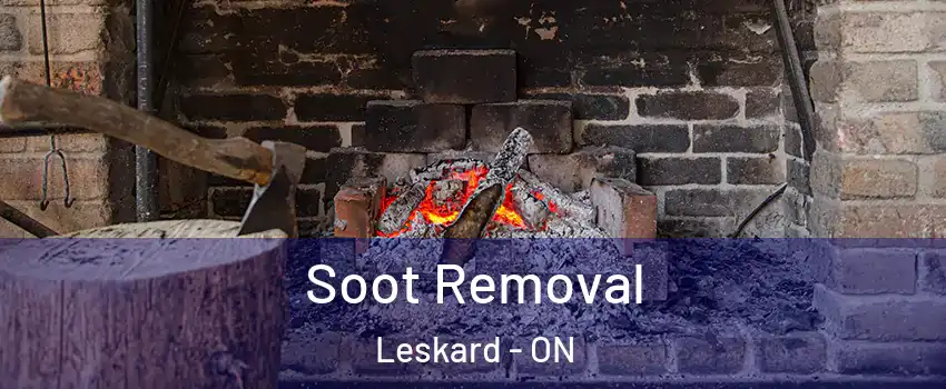  Soot Removal Leskard - ON