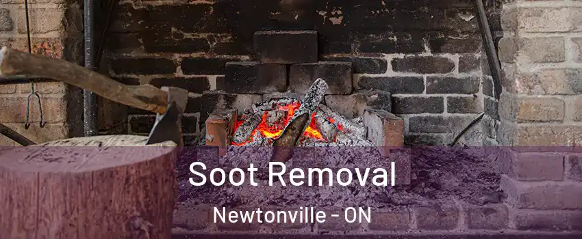  Soot Removal Newtonville - ON