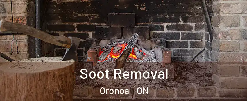  Soot Removal Oronoa - ON