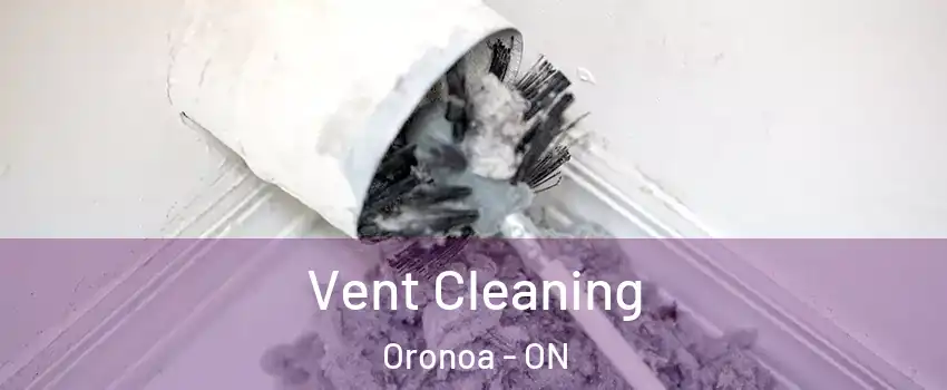  Vent Cleaning Oronoa - ON