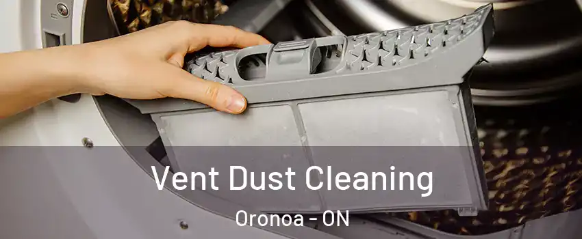  Vent Dust Cleaning Oronoa - ON