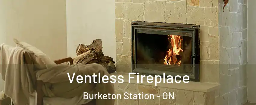  Ventless Fireplace Burketon Station - ON