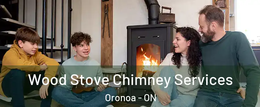  Wood Stove Chimney Services Oronoa - ON