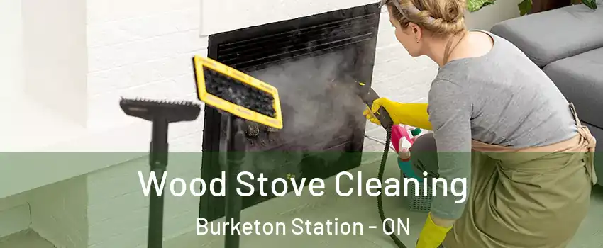  Wood Stove Cleaning Burketon Station - ON