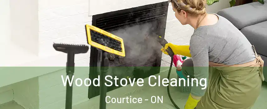  Wood Stove Cleaning Courtice - ON